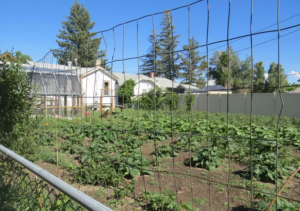 Get Ready To Garden Naked This Saturday POLL