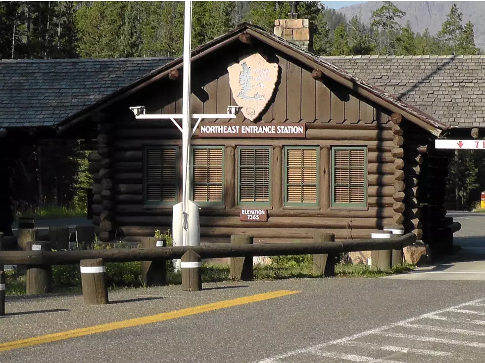 Nearly 90-Year-Old Yellowstone Lookout Hit by Lightning Burns Down