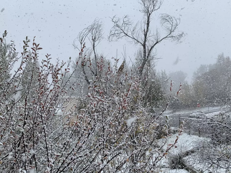 Casper: If Your Street is Impassable Due to Snow, Call the City