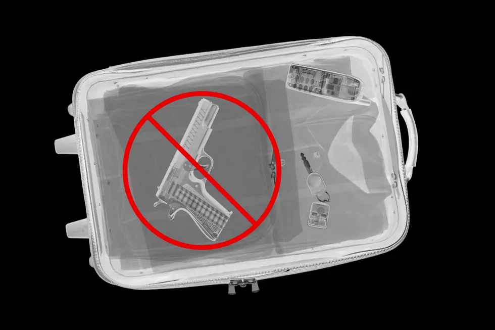Easy Steps To Take Your Gun On A Plane Leaving Wyoming