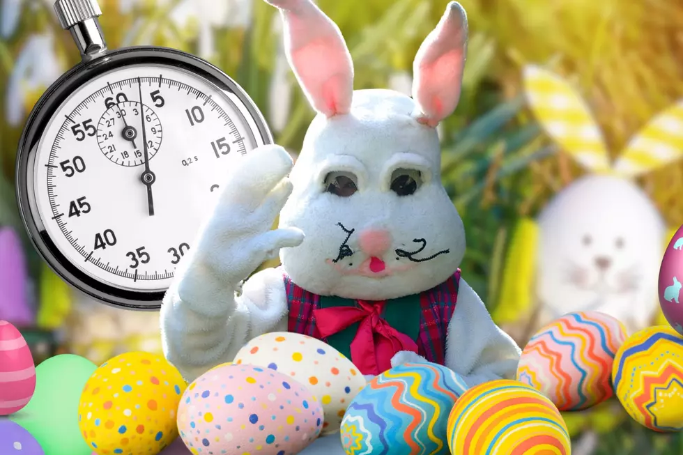 The Hard Truth About Hard-Boiled Easter Eggs Left Outside